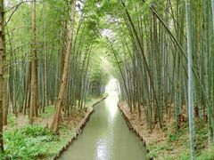 -同里国家湿地公园