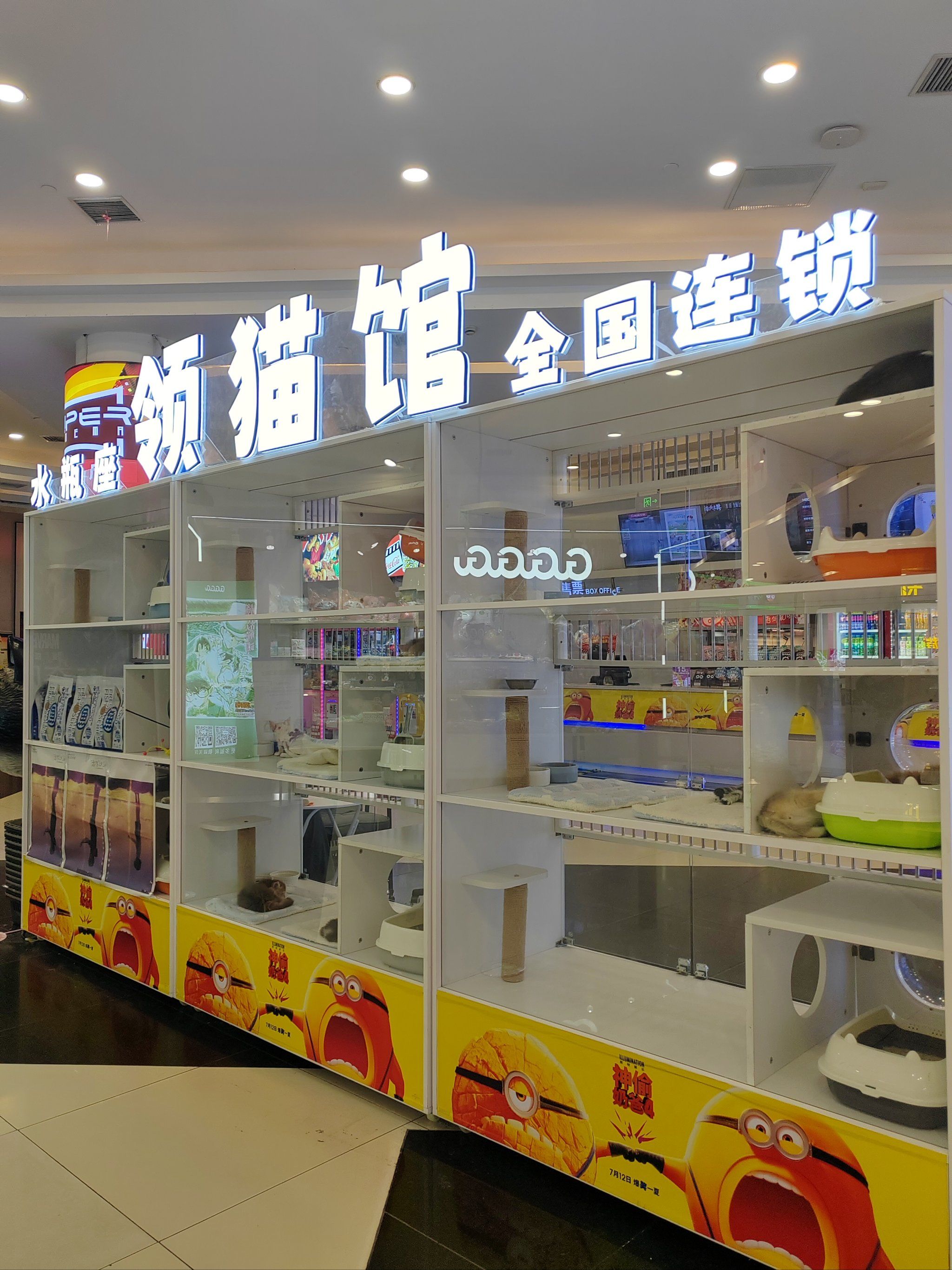 n#友好握爪计划@点小宠
#宠物#又是被小猫可爱到的一天
#谁