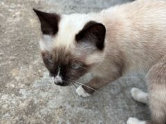 -广州都喜泰丽温泉度假酒店