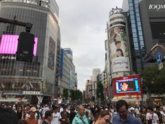 -涩谷区