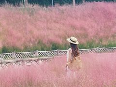 -牛岗山公园