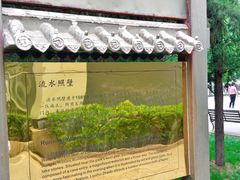 -团结湖公园