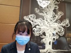 -上海嘉定喜来登酒店