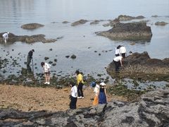 -黑石礁公园