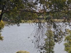 -美的鹭湖森林度假区
