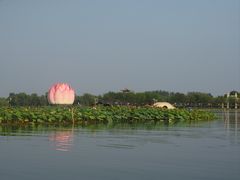 -白洋淀景区