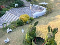 -云溪植物园