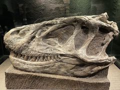 -自贡恐龙博物馆