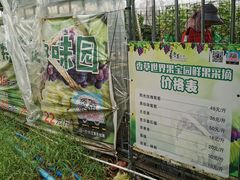 -广东花都香草世界旅游度假区