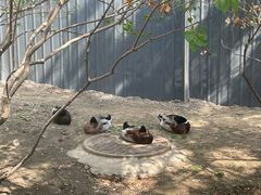 -三里河公园