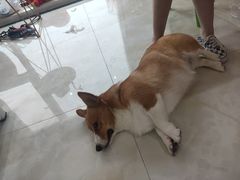 -禾荔烘焙DIY研究所