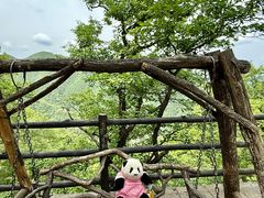 -栾川竹海野生动物园