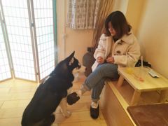 -喜柴咖啡·柴犬狗咖