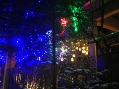 -汉拿山温泉度假酒店