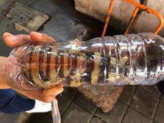 -竹林小屋(库塔店)