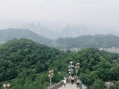 -大金鹰园