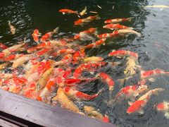 -香麒园·过桥米线·南湖雅宴