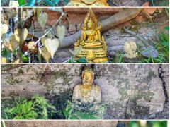 -西双版纳傣族园