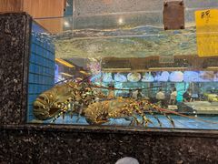 -聚福宝合苑食府(南头镇店)