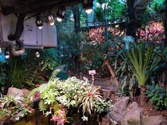 -正佳雨林生态植物园