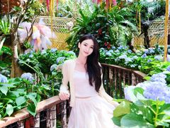 -正佳雨林生态植物园