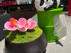 -四川饭店(城乡购物中心店)