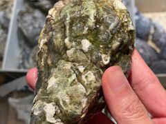 -普朗姆生蚝吧(原建国路店)