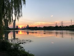 -九里河湿地公园