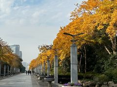 -上海科技馆(地铁站)