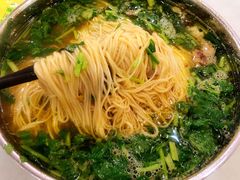 -杨记拉面总店