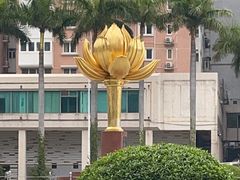 -金莲花广场