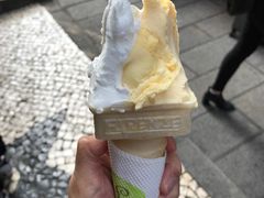 -柠檬车露(卖草地店)