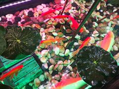 -朱桥甲鱼馆(淮海西路店)