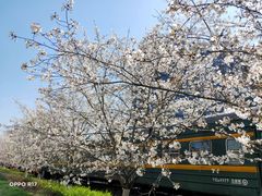 -新天地活力PARK