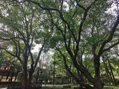 -徐家汇源景区-衡山公园