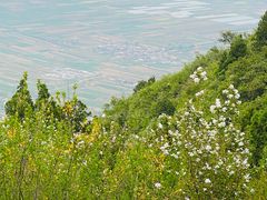 -富平县金粟山森林公园