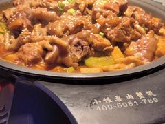 -徐记小怪兽肉蟹煲(中央大街店)