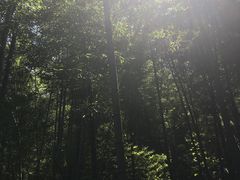 -镇江市南山风景名胜区竹林景区