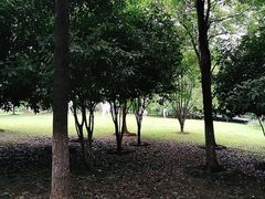 -辛亥革命博物院北区