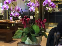 -simply thai天泰(静安嘉里中心店)