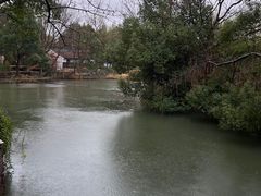 -西溪国家湿地公园