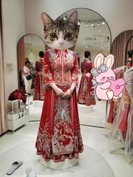 -PAI婚纱礼服设计馆【大牌租赁/高级定制】