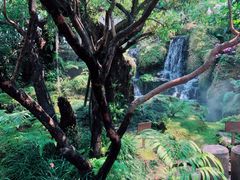 -Chom Cafe and Restaurant