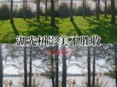 -东湖落雁景区