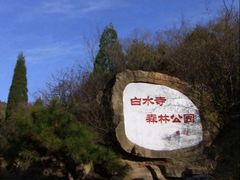 -白水寺森林公园