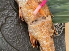 -紫· 割烹  Kappo Murasaki