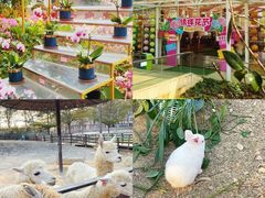 -盈香心动乐园