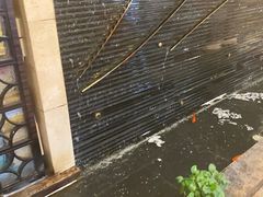 -申宴酒楼(王子百货店)