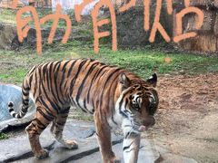 -杭州野生动物世界