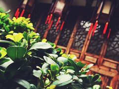 -文儒九号·闽菜馆(三坊七巷店)